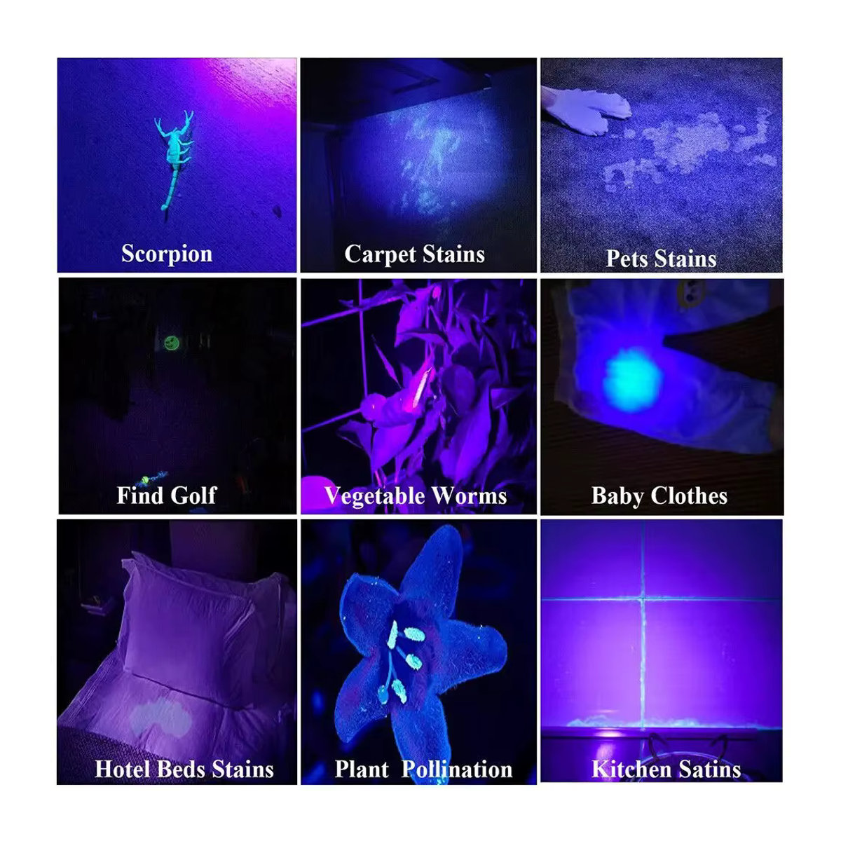 Heinast UV-Taschenlampe 395nm Schwarzlicht zoombar USB wiederaufladbar für Haustier-Urin-Detektion und Harzhärtung - Bild 2