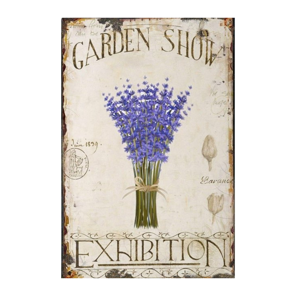 Hello Young Metallschild Garden Lavender im Shabby Chic Vintage-Stil, lila/mehrfarbig, B/H: 20 x 30 cm - Bild 1
