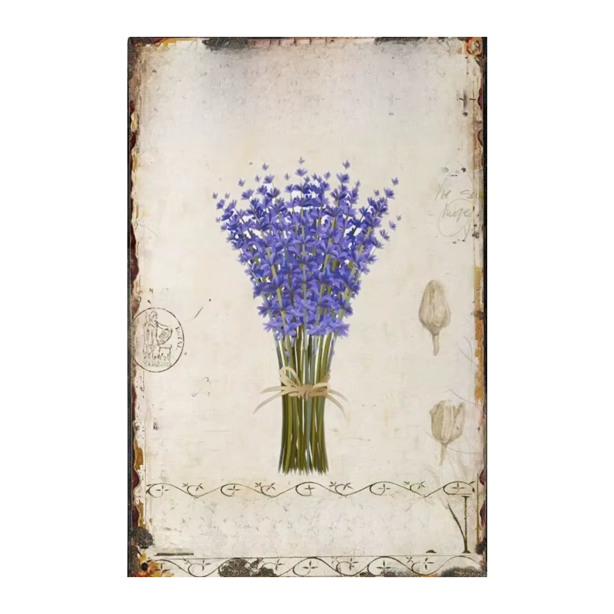 Hello Young Metallschild Garden Lavender im Shabby Chic Vintage-Stil, lila/mehrfarbig, B/H: 20 x 30 cm - Bild 3