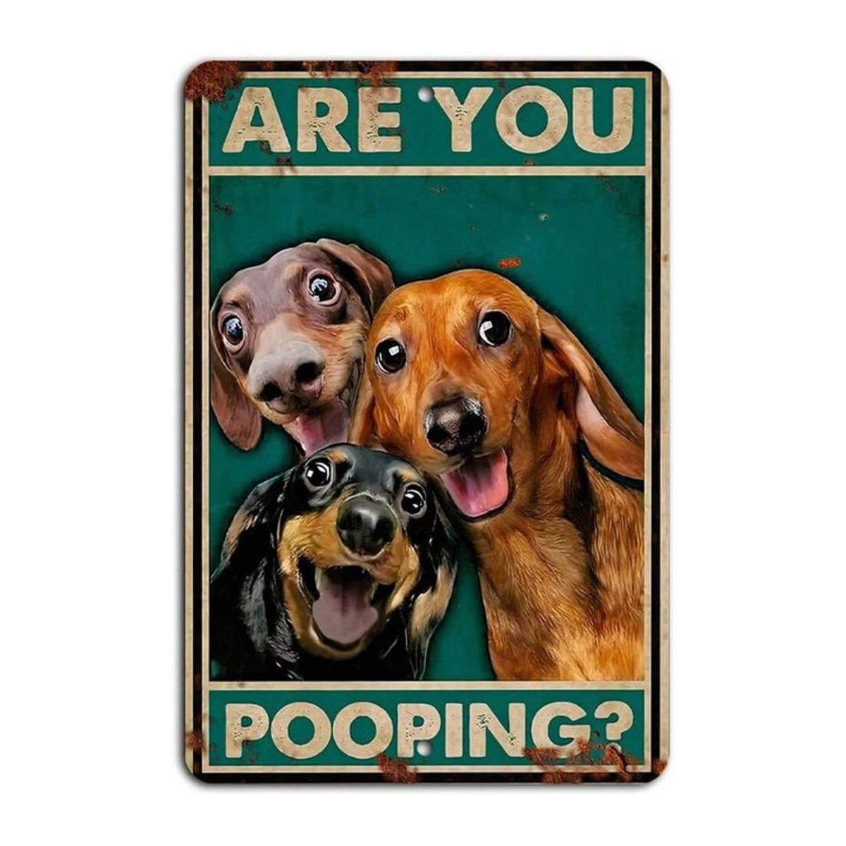 HELLOYOUNG Rustikales Metallschild Are You Pooping als humorvolle Badezimmer-Wanddekoration, mehrfarbig, B: 20,3 cm, H: 30,5 cm - Bild 1