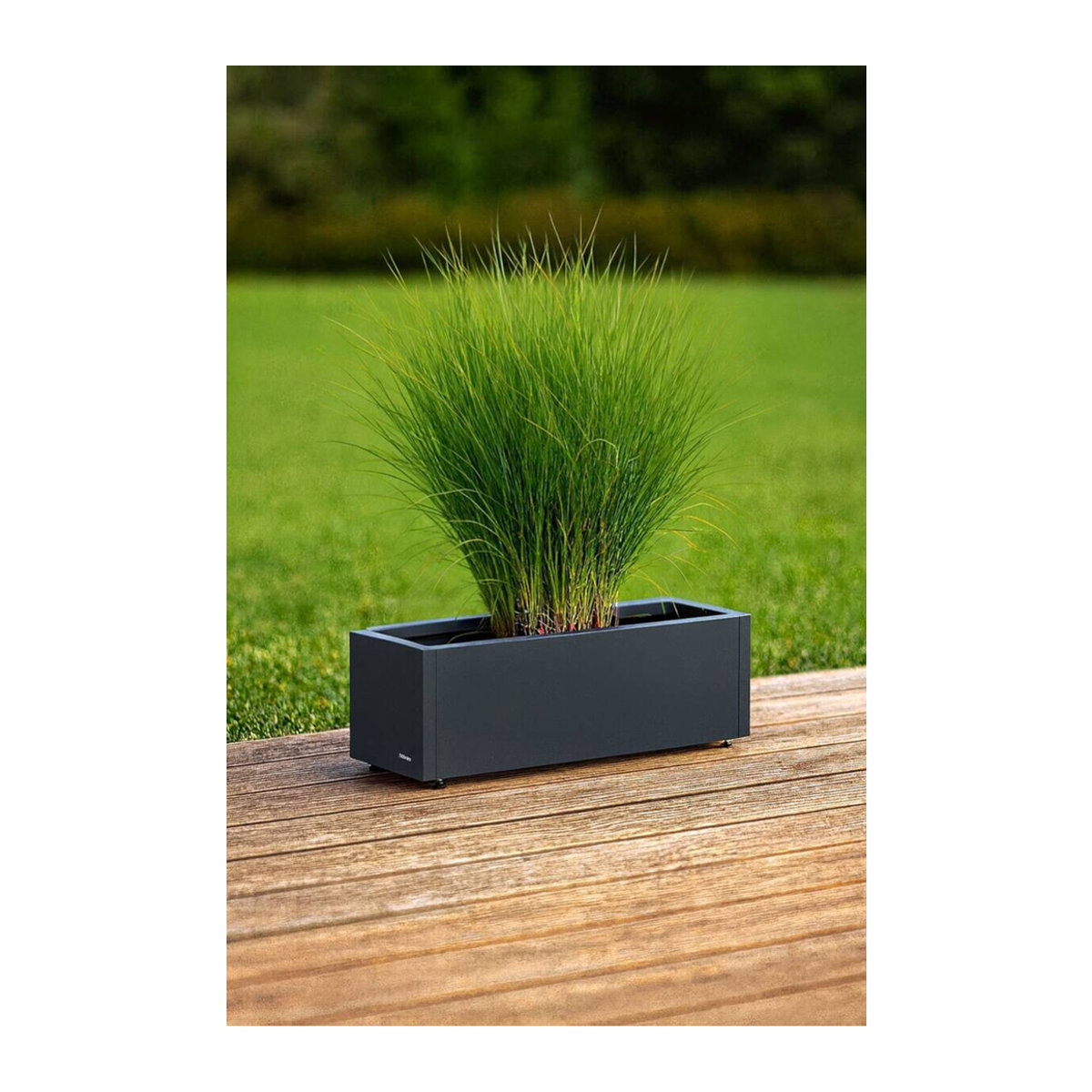 Herstera Garden Pflanzkübel Cube anthrazit B/H/T: 80 x 25 x 25 cm - Bild 5
