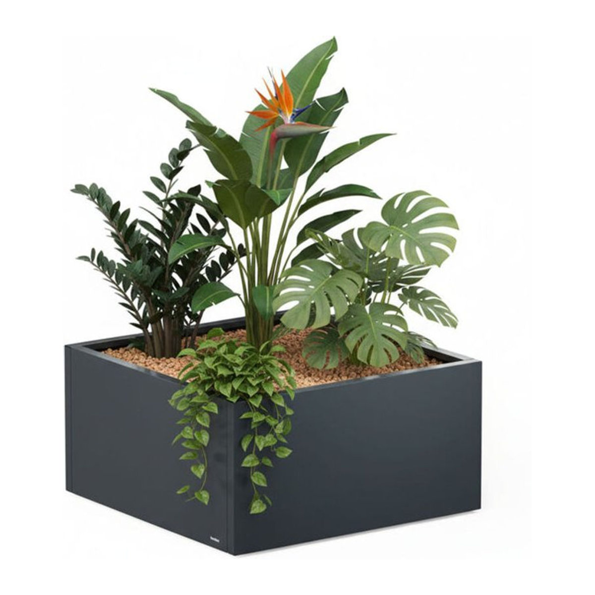 Herstera Garden Pflanzkübel Cube aus Metall in Anthrazit, B/T/H: 100 x 100 x 50 cm - Bild 2