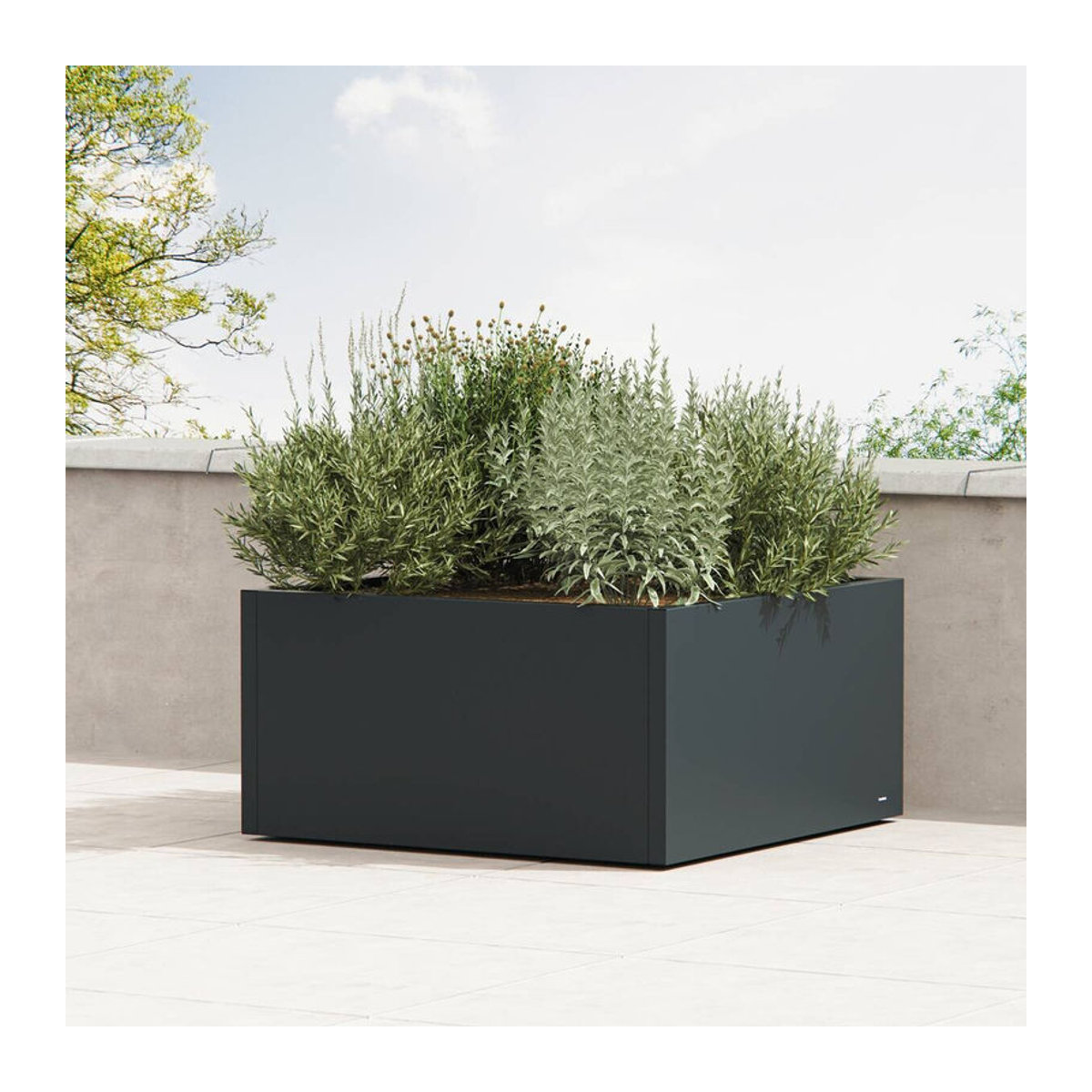 Herstera Garden Pflanzkübel Cube aus Metall in Anthrazit, B/T/H: 100 x 100 x 50 cm - Bild 6