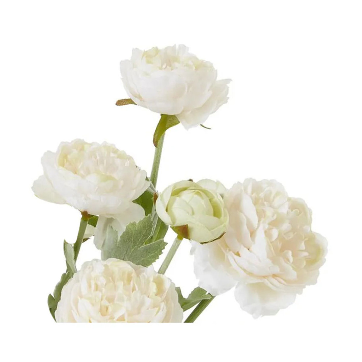 Hill Interiors Ranunculus Künstliche Blume aus der Natural Garden Collection in Abricot, Beige und Weiß - Bild 2