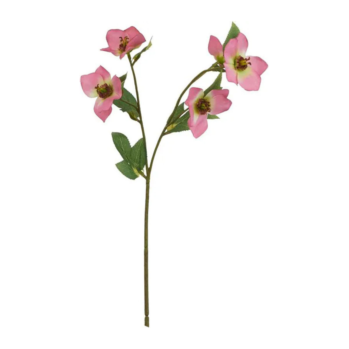 Hill Interiors The Natural Garden Collection Künstliche Pflanze Variegated Helleborus in Rosa - Bild 1