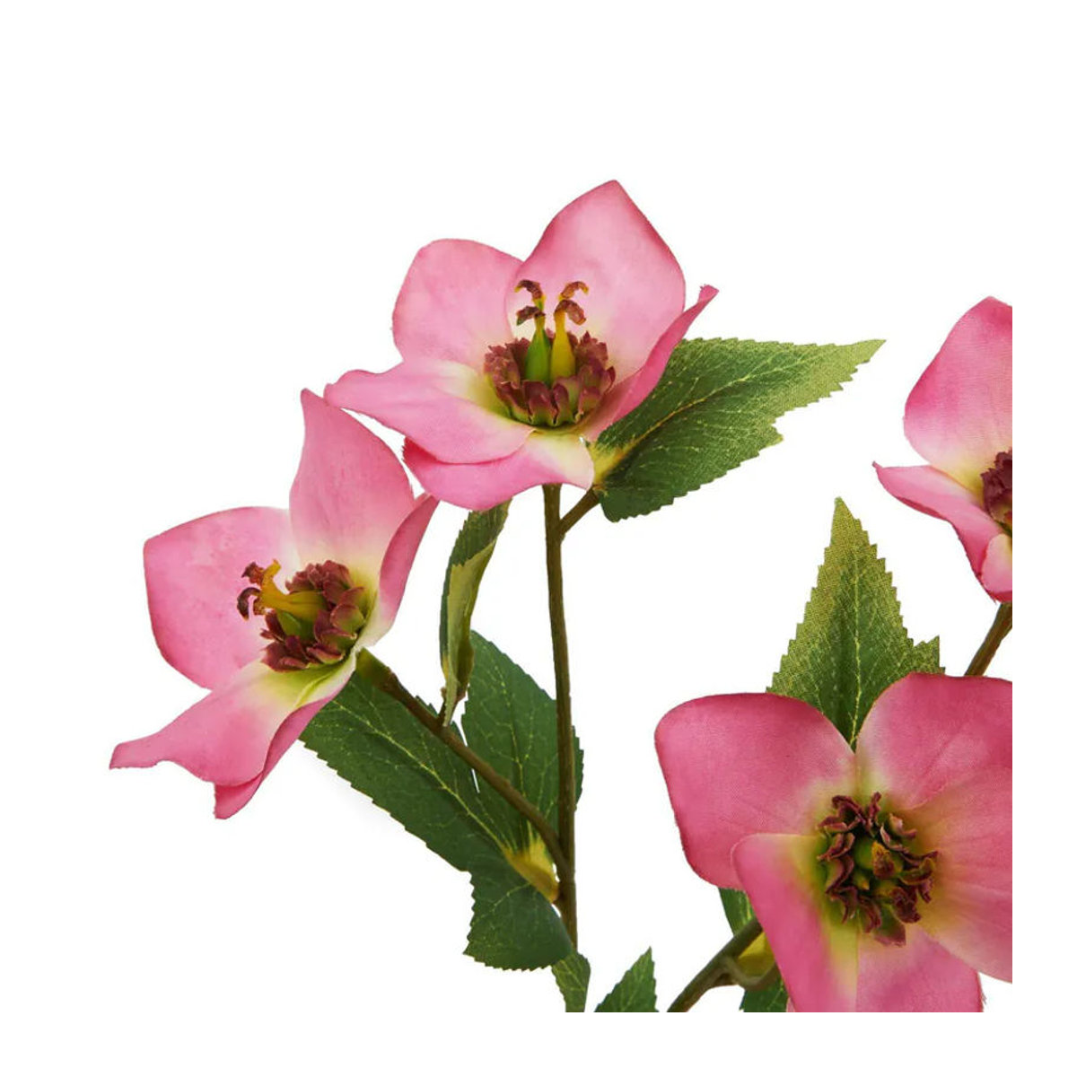 Hill Interiors The Natural Garden Collection Künstliche Pflanze Variegated Helleborus in Rosa - Bild 2