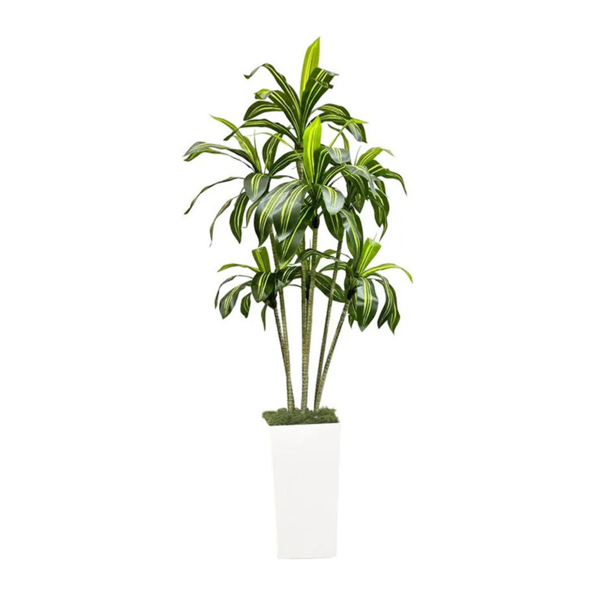 HiMISS Künstlicher Dracaena-Baum in Grün mit weißem Übertopf, UV-beständige tropische Kunstpflanze für Wohnzimmer, Büro und Garten, Höhe: 120 cm - Bild 1