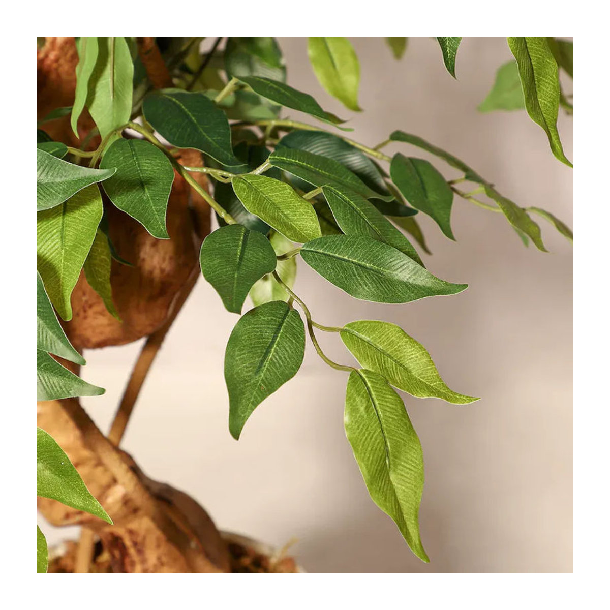 HiMISS Künstlicher Ficus in Weiß mit gebogenem Stamm, Grüne Kunstpflanze aus Textil im weißen Topf für dein Zuhause oder Büro, Höhe: 120 cm - Bild 5