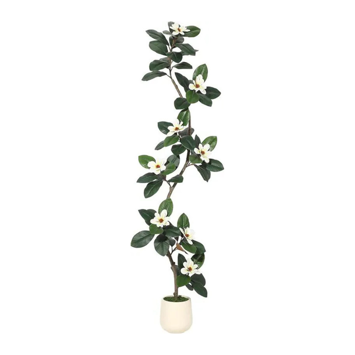 HiMISS Künstlicher Gummibaum mit Magnolienblüten in Grün und Weiß inklusive weißem Blumentopf, Höhe: 150 cm - Bild 1