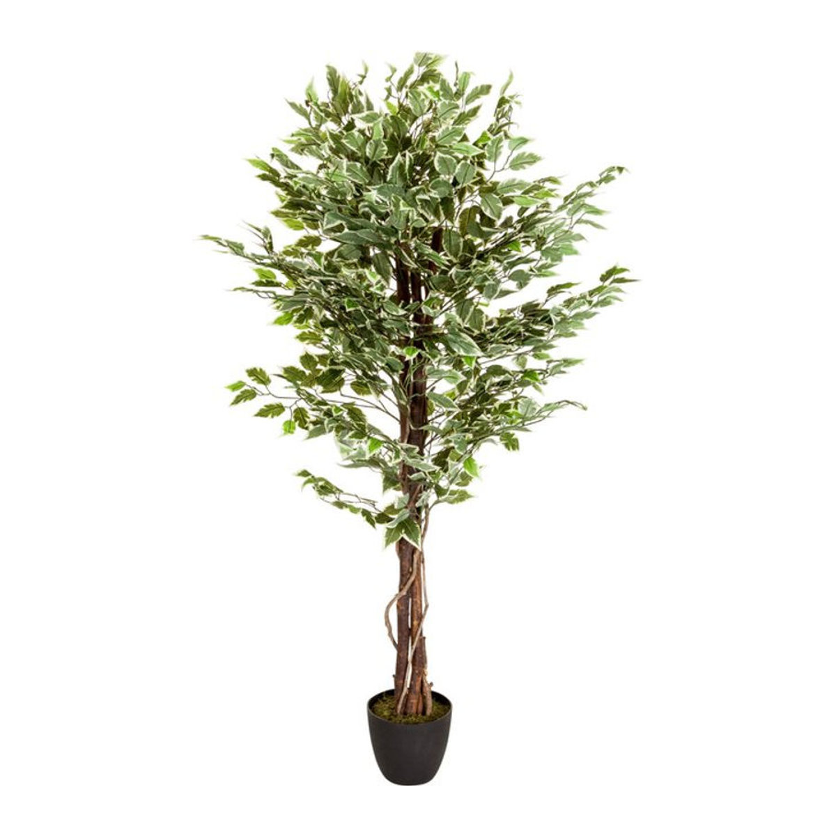 hjh OFFICE Kunstpflanze Ficus in Grün aus Kunststoff und Textil - Bild 1