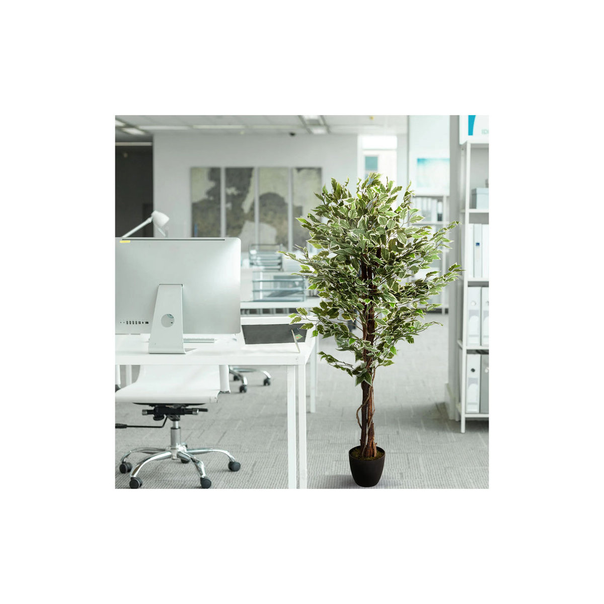 hjh OFFICE Kunstpflanze Ficus in Grün aus Kunststoff und Textil - Bild 2