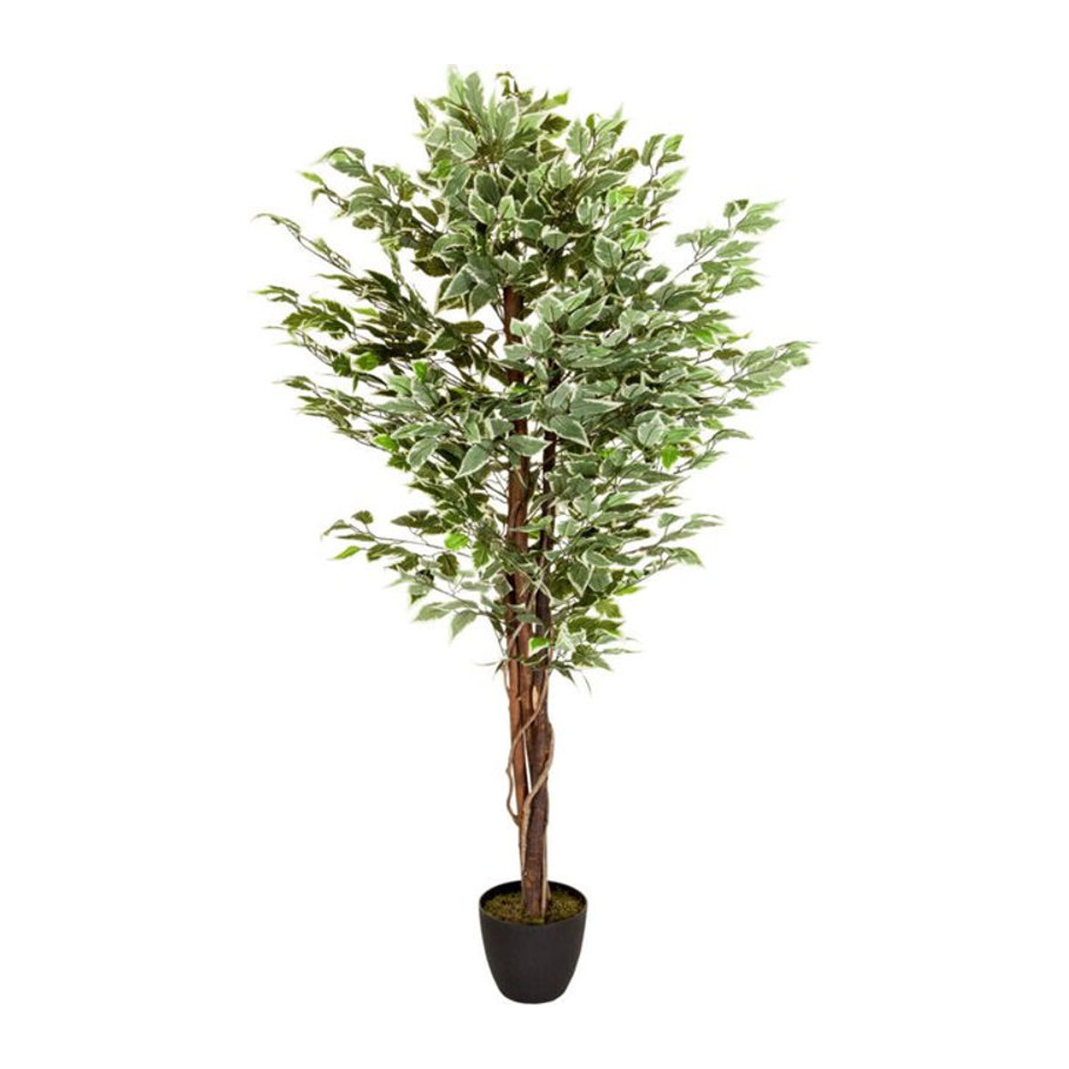 hjh OFFICE Kunstpflanze Ficus in Grün aus Kunststoff und Textil - Bild 5
