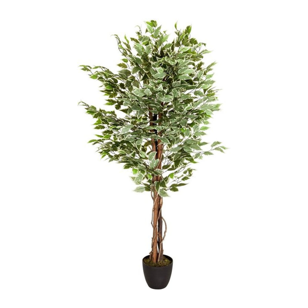 hjh OFFICE Kunstpflanze Ficus in Grün aus Kunststoff und Textil - Bild 6