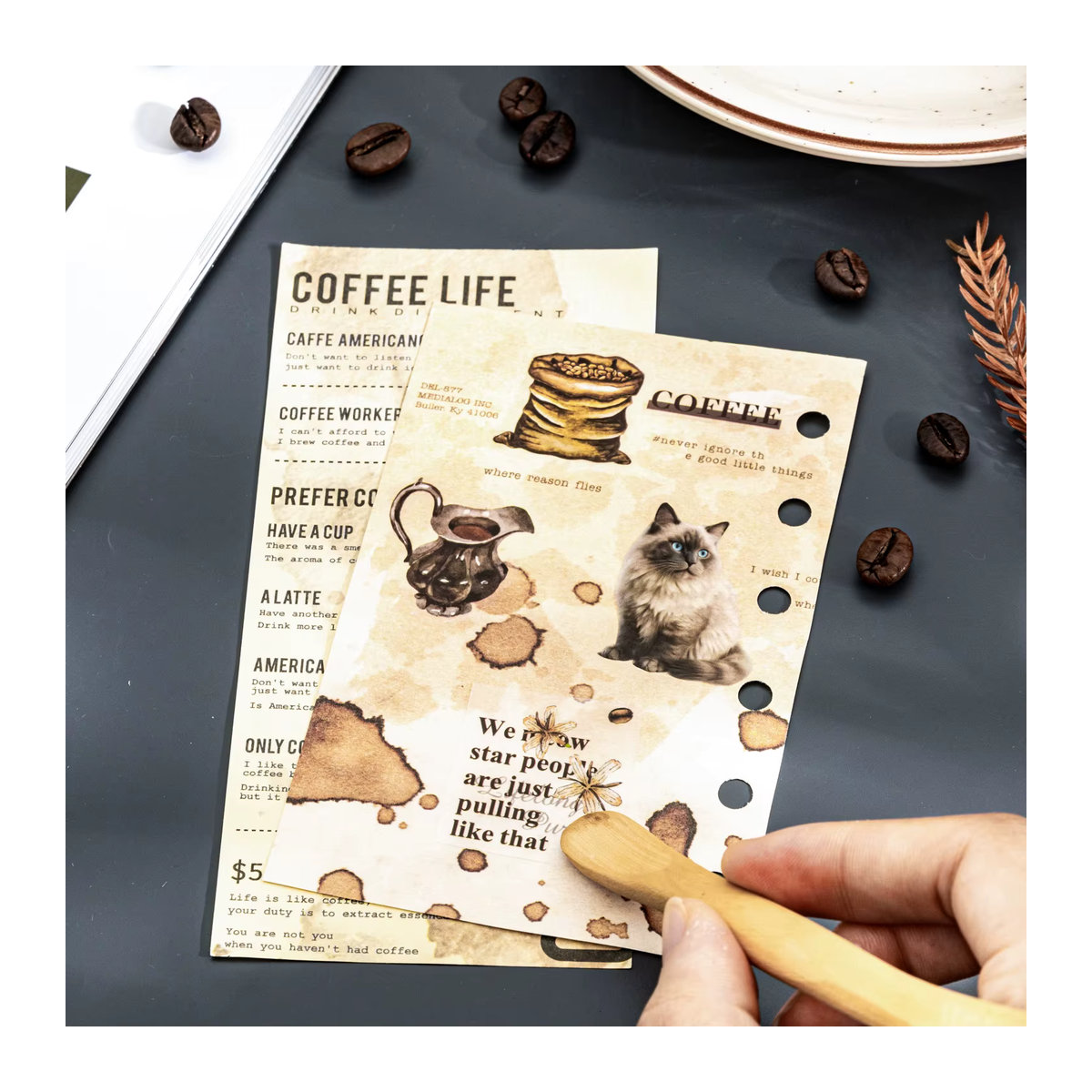 Hobbisland Kaffee-Katze Transferaufkleber für Scrapbooking und Bastelbedarf, Beige und Mehrfarbig, Vintage Design - Bild 3