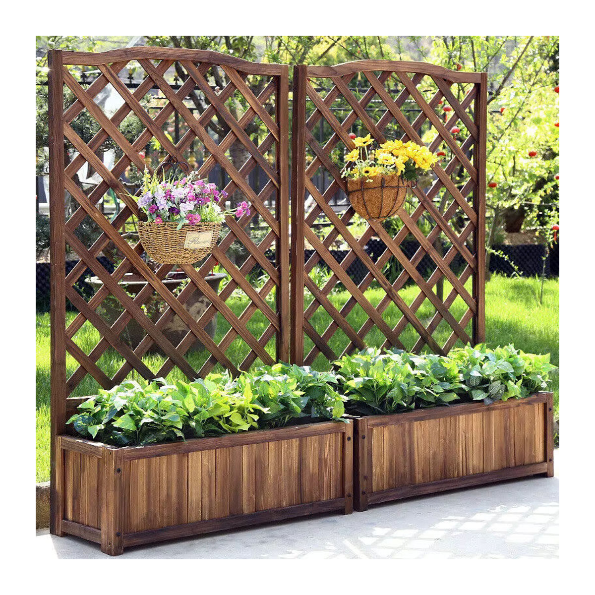 Hochbeet aus Holz mit Spalier und Stützgitter in Braun für den Garten und die Terrasse - Bild 2