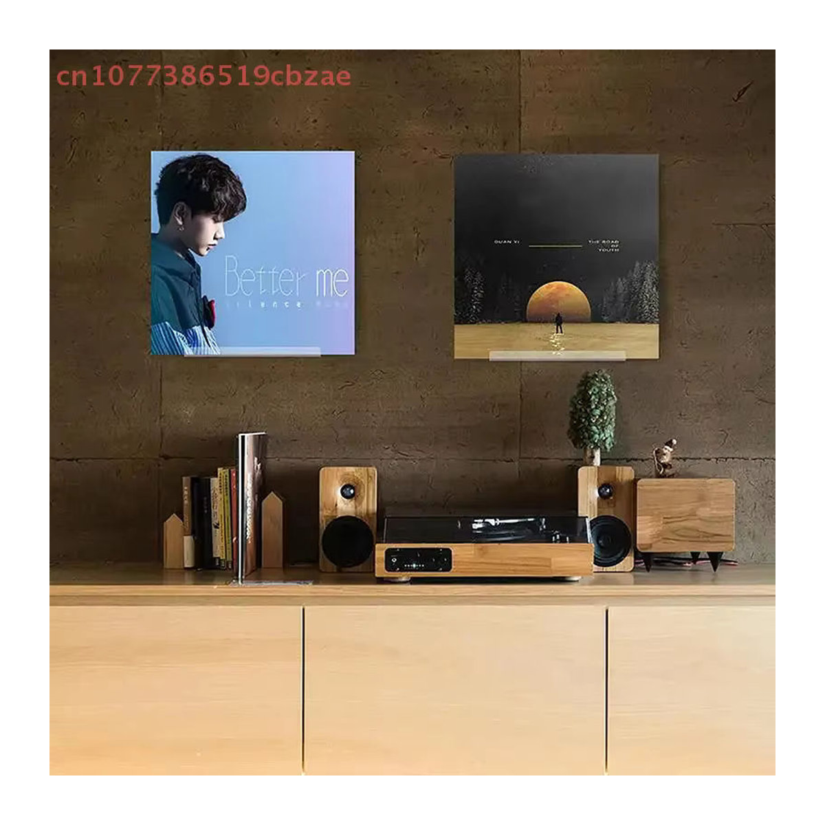 Hoeaden Wandhalterung für Schallplatten aus transparentem Acryl, minimalistisches Vinyl-Regal zur Dekoration von LPs - Bild 2