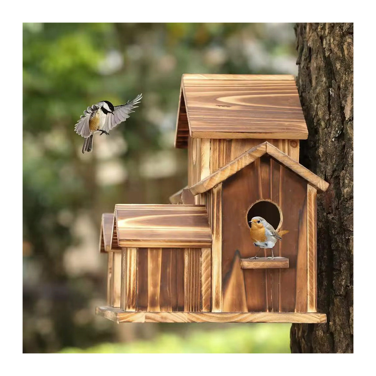 Holz Vogelhaus für den Garten mit 5 Nistlöchern in Braun für Finken und Blaumeisen - Bild 4