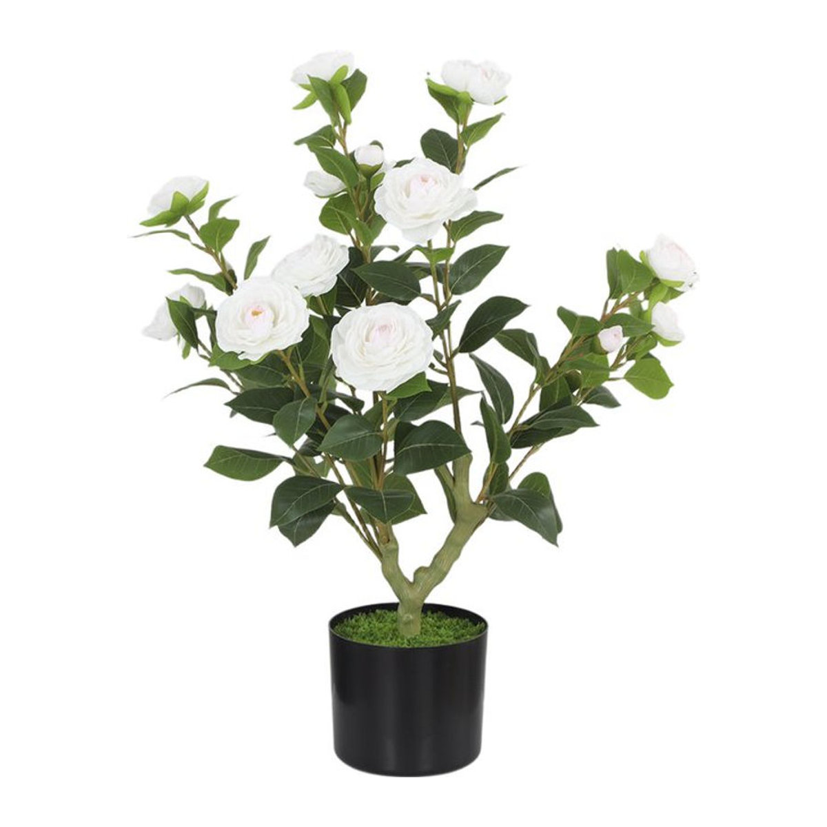 HOMCOM Künstliche Kamelie in Weiß, Dekorative Topfpflanze mit Seidenblüten und Moos-Effekt, Durchmesser: 15 cm, Höhe: 65 cm - Bild 1