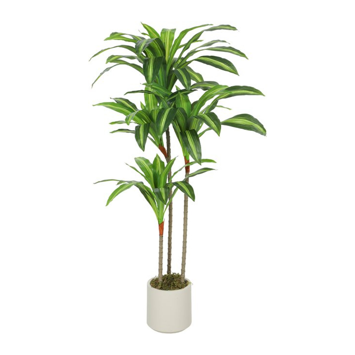 HOMCOM Künstlicher Dracaena-Baum mit weißem Pflanzgefäß, Höhe: 120 cm, Grün/Weiß - Bild 1