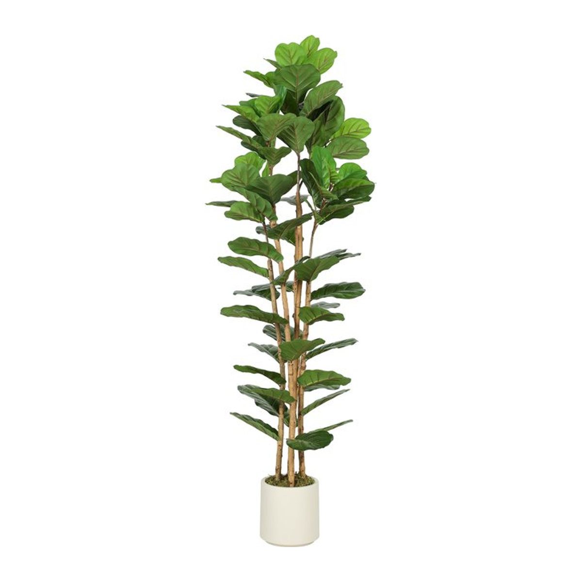 HOMCOM Künstlicher Geigenfeigenbaum in Grün und Braun mit Massivholzstamm und Topf, Höhe: 180 cm - Bild 1