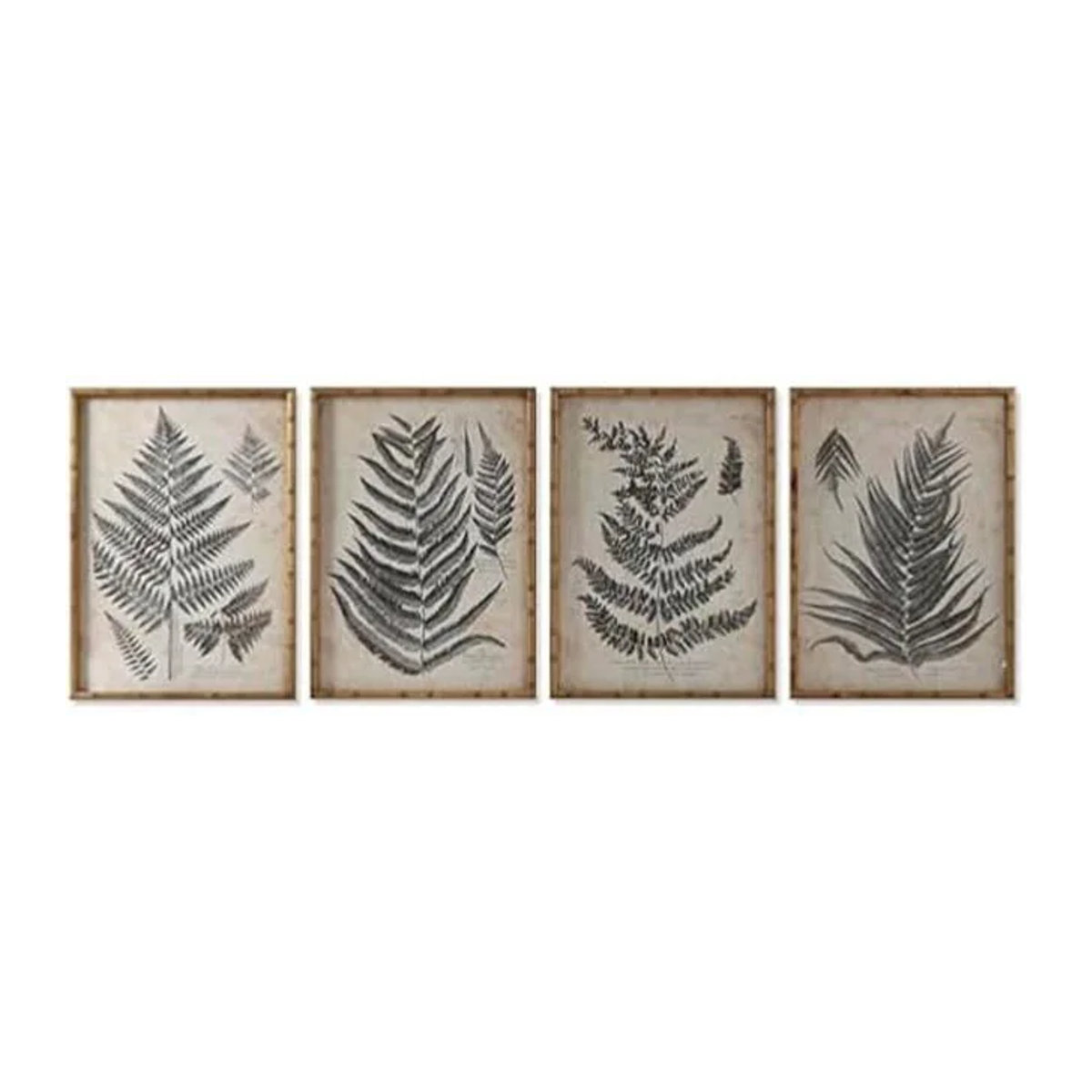 HOME ESPRIT Bild Fougère Cottage Set 4 Stück, Floral, Modern, Mehrfarbig, B: 50 cm, H: 70 cm - Bild 1