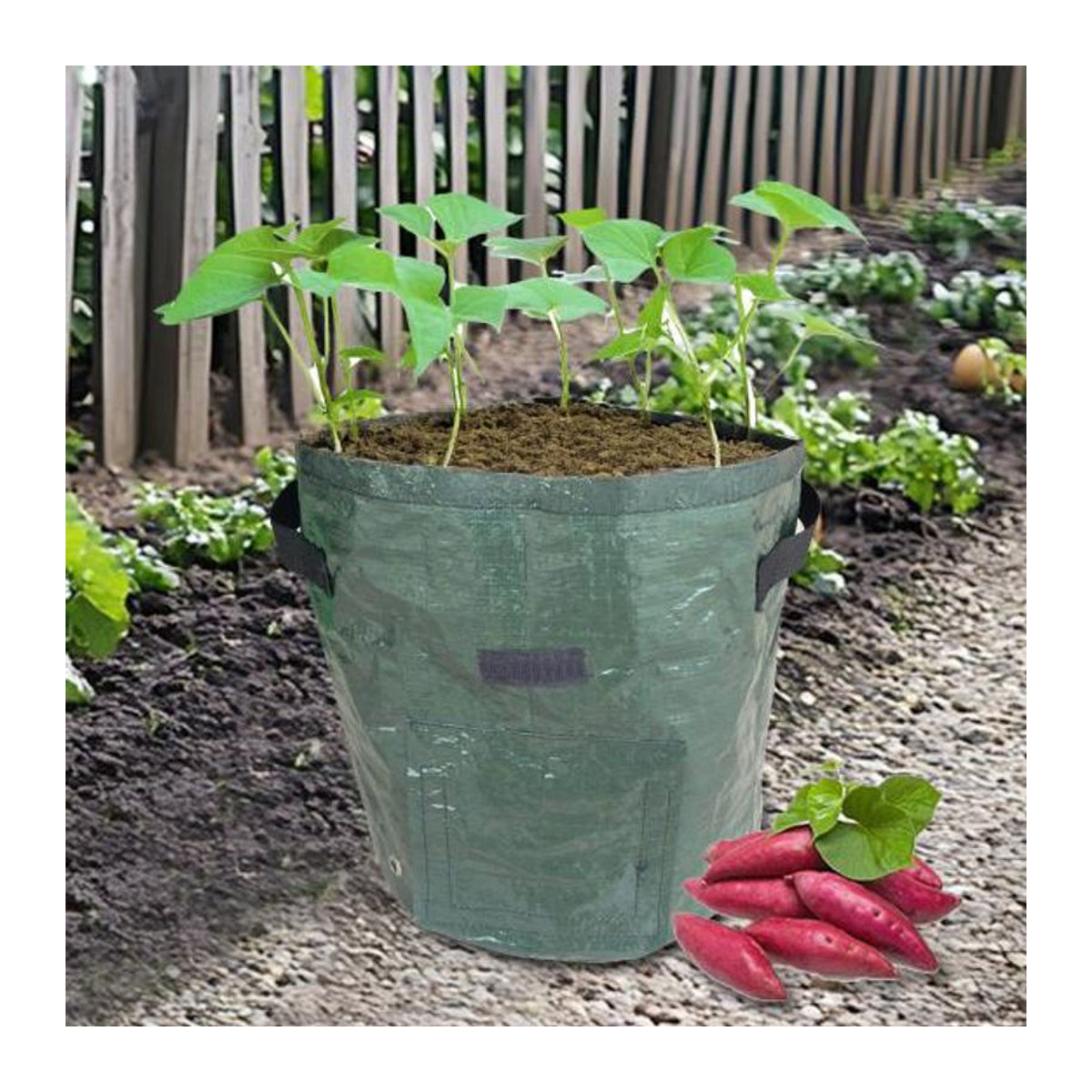 HOMEKA Anbaubeutel für Kartoffeln, Tomaten und Gemüse in Grün, 10 Gallon aus Kunststoff - Bild 4