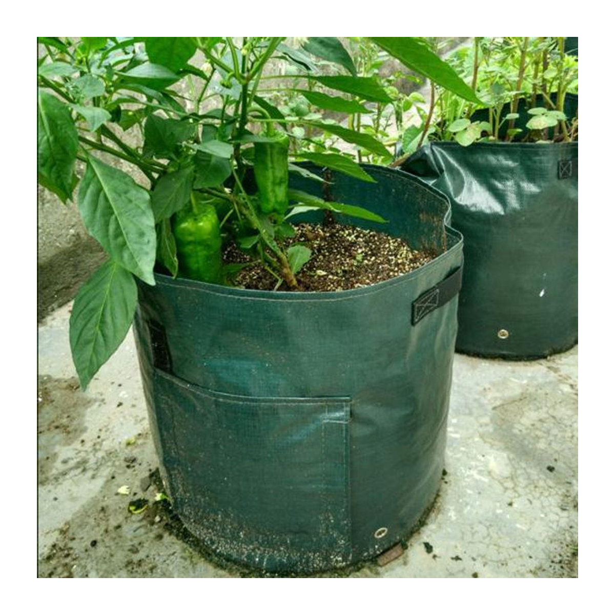 HOMEKA Anbaubeutel für Kartoffeln, Tomaten und Gemüse in Grün, 10 Gallon aus Kunststoff - Bild 7