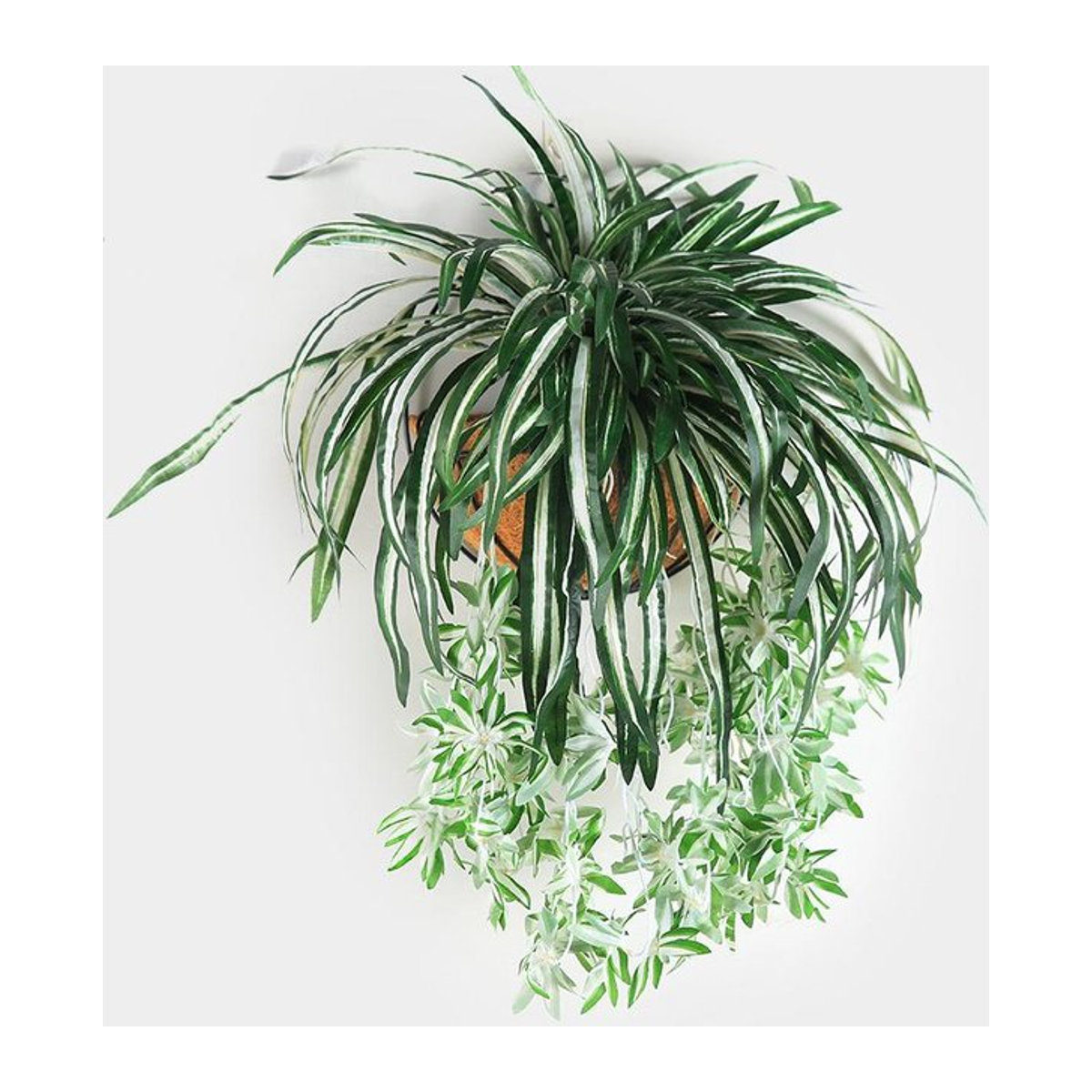 Homelife03 Künstliche Chlorophytum Hängepflanze in Grün, 65 cm Wandbehang aus Kunststoff - Bild 1