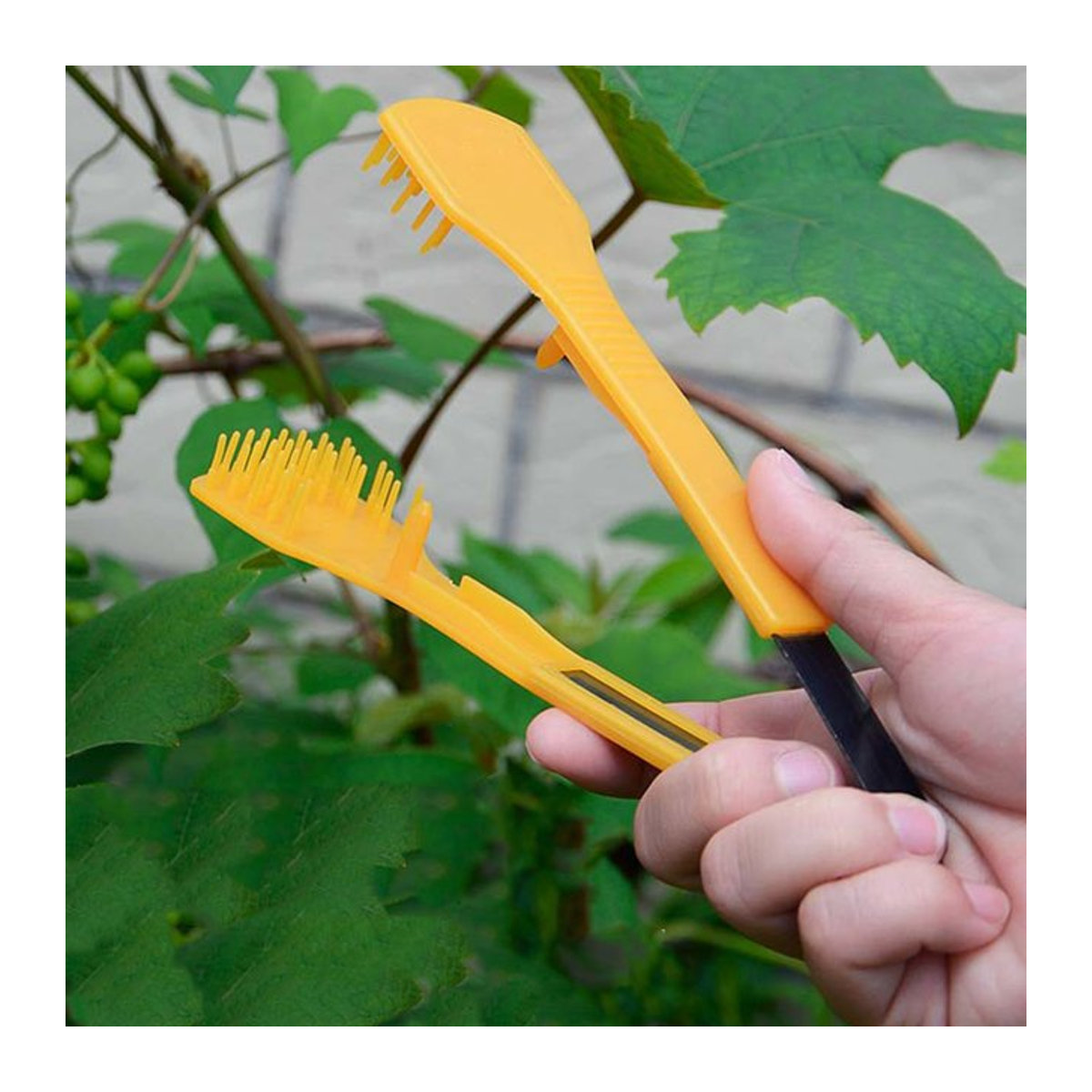 homyl Traubenknipser zur Ausdünnung und Beschneidung von Traubenknospen für das Obstmanagement - Bild 1