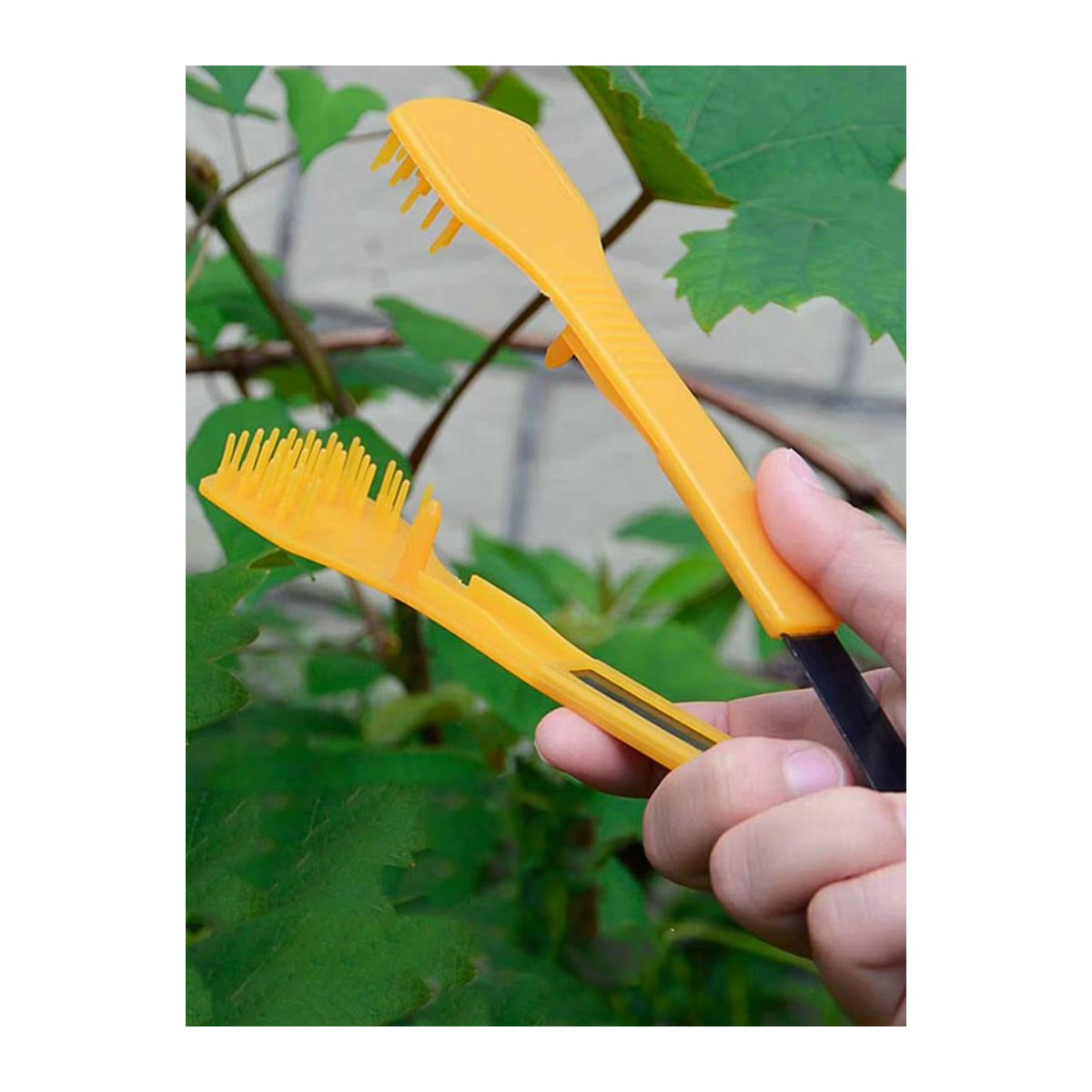 homyl Traubenknipser zur Ausdünnung und Beschneidung von Traubenknospen für das Obstmanagement - Bild 4
