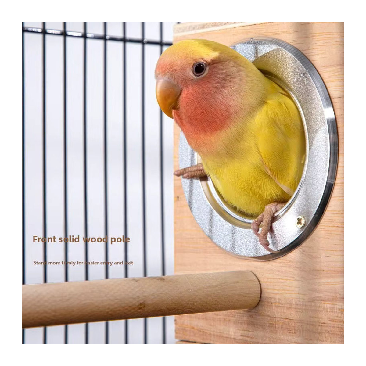 Horizontale Vogelzuchtbox aus Holz in Natur für Wellensittiche, Nymphensittiche und Lovebirds inklusive Winter-Hängehaken - Bild 3