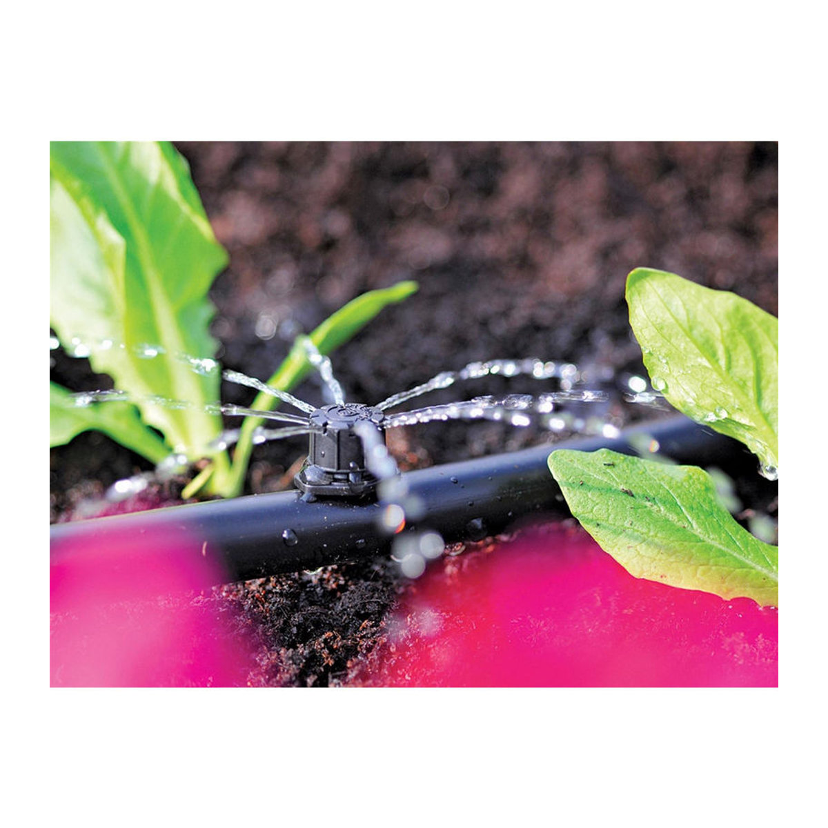 Hozelock 2787 Einstellbarer Mini-Sprinkler für Leitungsende 4/13mm, 12er Pack, Bunt - Bild 2