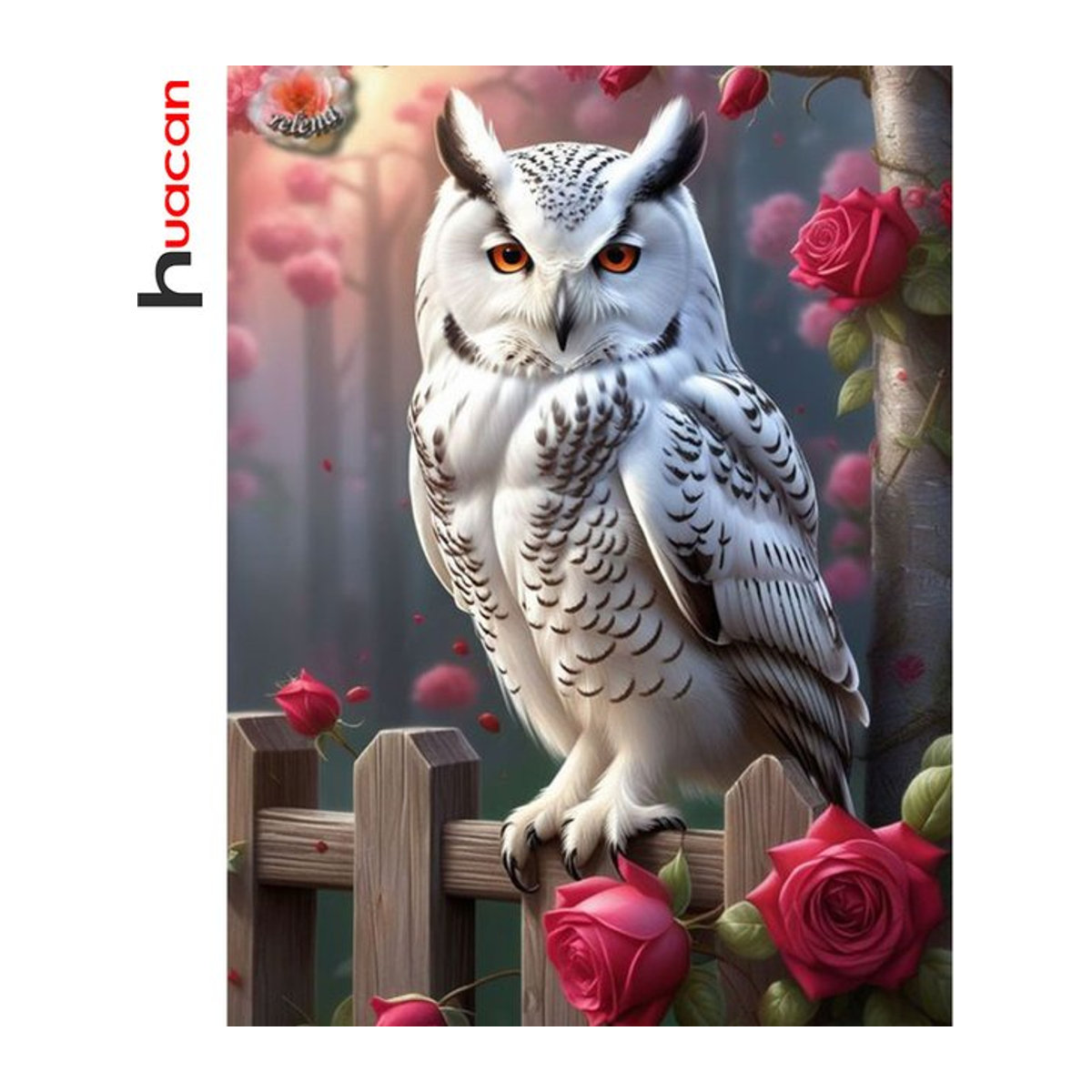 Huacan 5D DIY Diamantmalerei Eule mit Rosen als Mosaik-Bild in Mehrfarbig zur Wandmontage - Bild 1