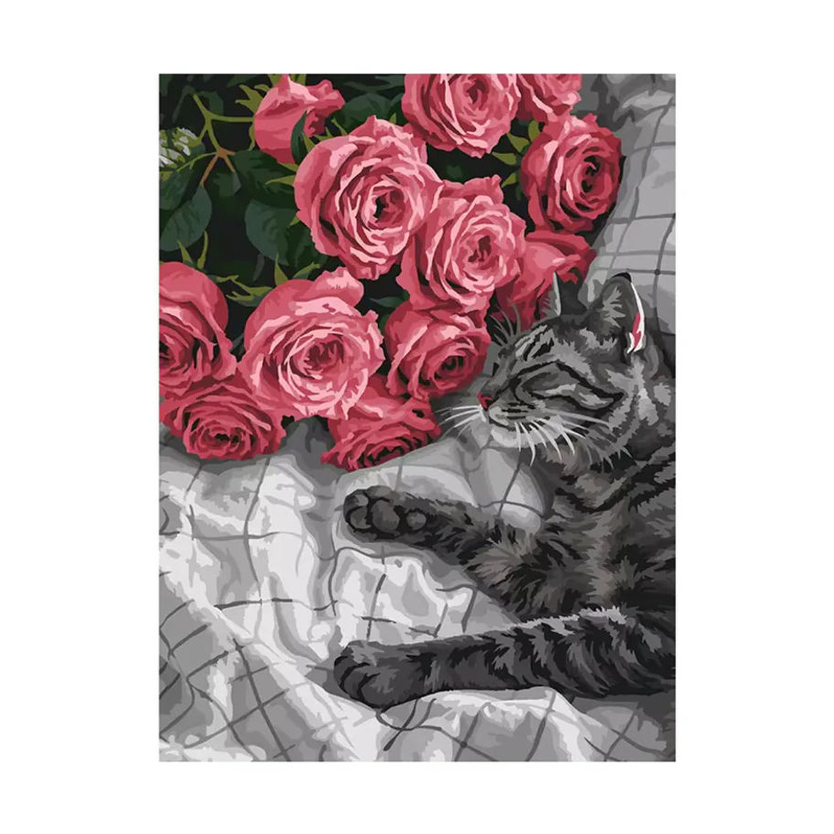 Huacan Malen nach Zahlen Set mit Katzen- und Rosenmotiv, mehrfarbiges Ölgemälde für Erwachsene, B/H: 40 x 50 cm - Bild 5