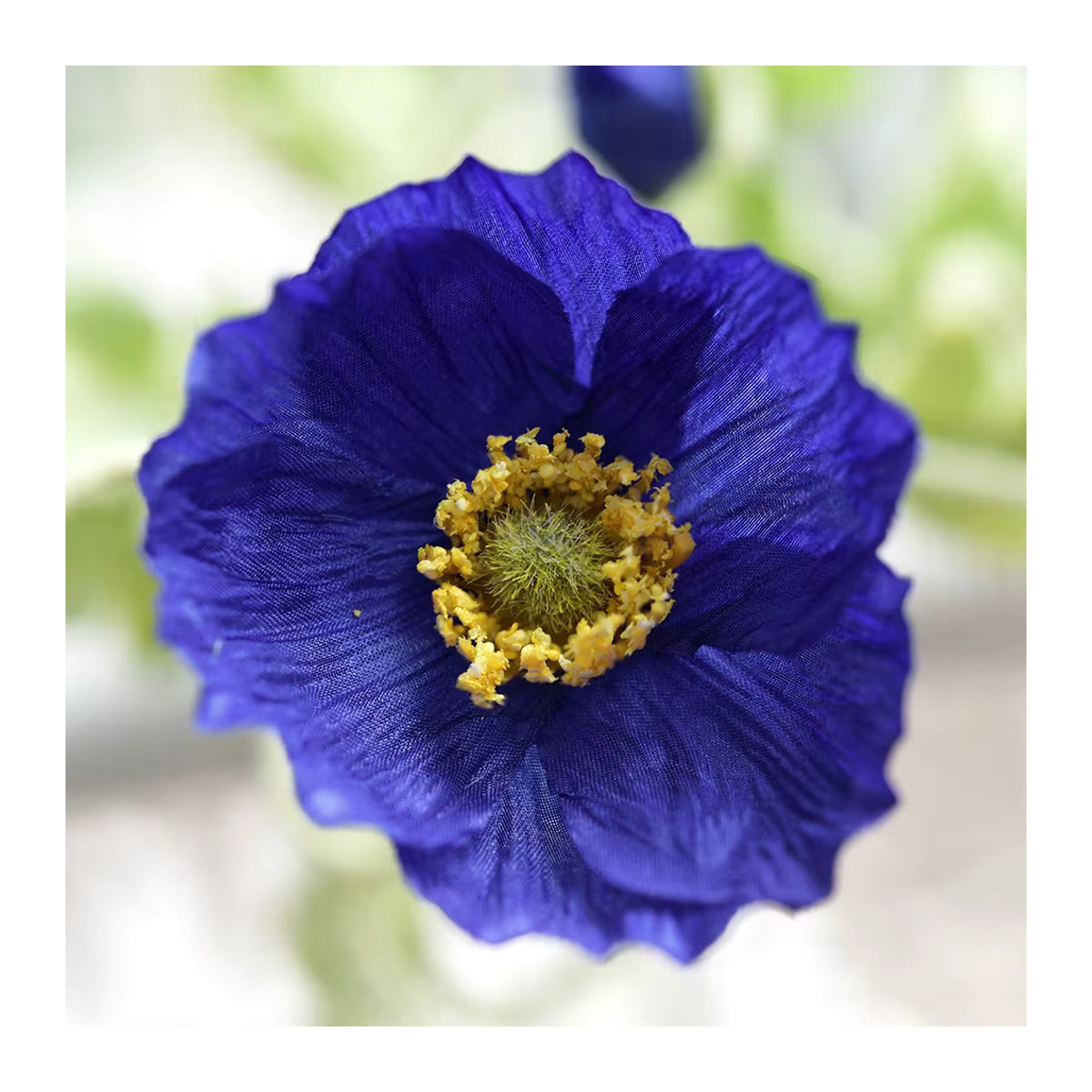 HUAYUXIANG Künstlicher Mohnblumenstrauß in Grün und Blau, 60 cm lange Textilblumen für Hochzeitsdekoration und Heimdekoration - Bild 3