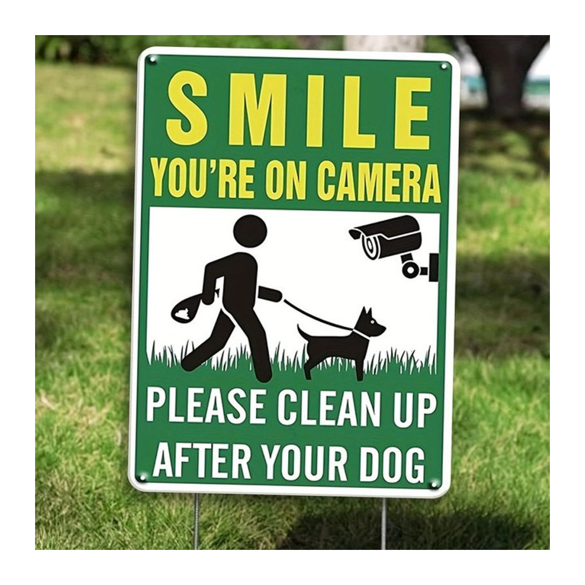 Humorvolles Blechschild Hello Young für Hundebesitzer, mehrfarbige Garten-Deko aus Metall, B/H: 20,32 x 30,48 cm - Bild 1