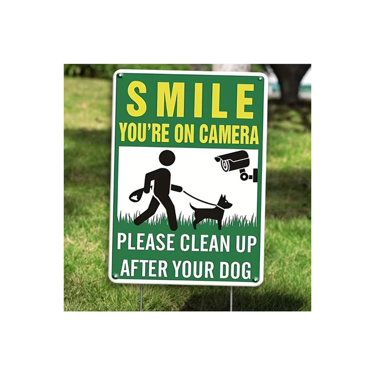 Humorvolles Blechschild Hello Young für Hundebesitzer, mehrfarbige Garten-Deko aus Metall, B/H: 20,32 x 30,48 cm - Bild 2
