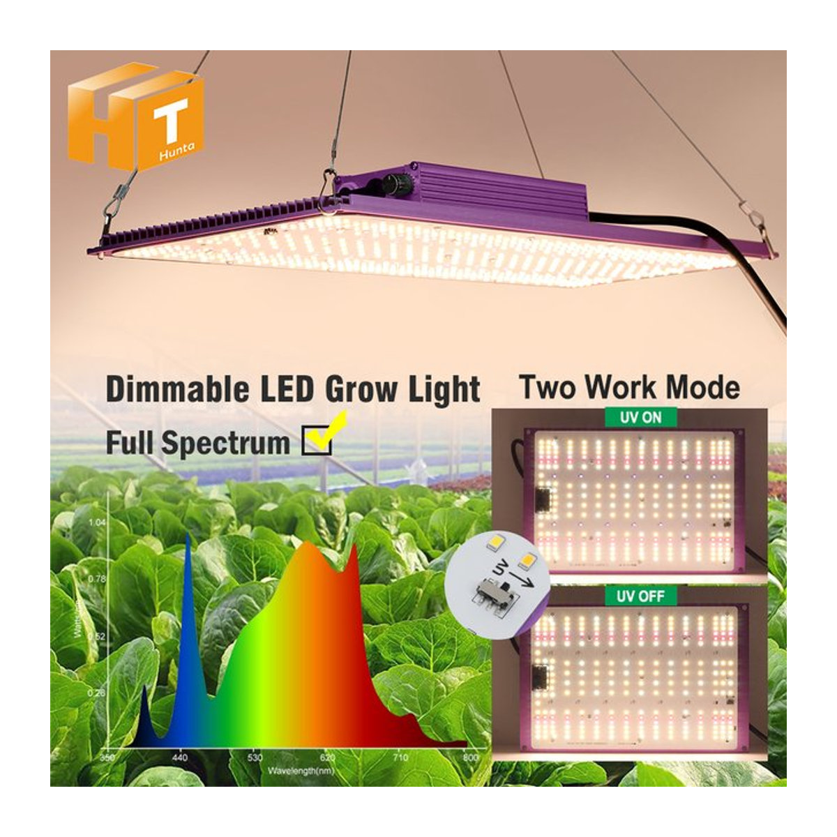 Hunta Vollspektrum-LED-Wachstumslicht LM281B mit 120W oder 240W dimmbar für Gewächshauszelte und die Aussaat von Gemüse und Blumen - Bild 1