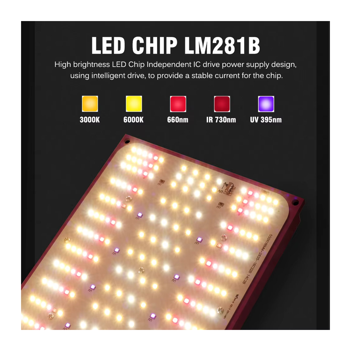 Hunta Vollspektrum-LED-Wachstumslicht LM281B mit 120W oder 240W dimmbar für Gewächshauszelte und die Aussaat von Gemüse und Blumen - Bild 2