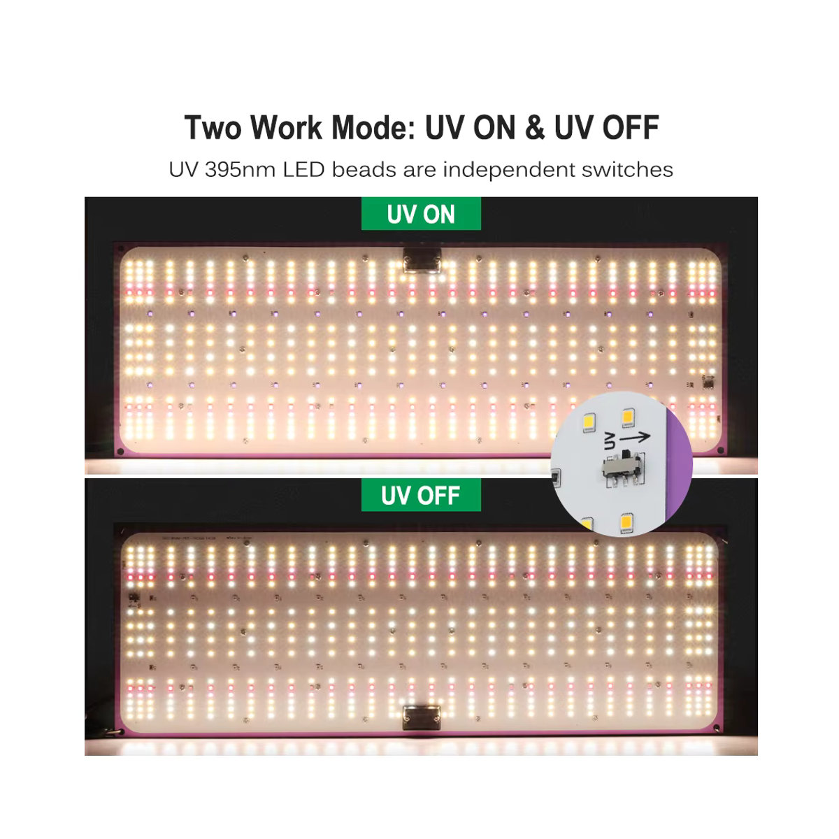 Hunta Vollspektrum-LED-Wachstumslicht LM281B mit 120W oder 240W dimmbar für Gewächshauszelte und die Aussaat von Gemüse und Blumen - Bild 5