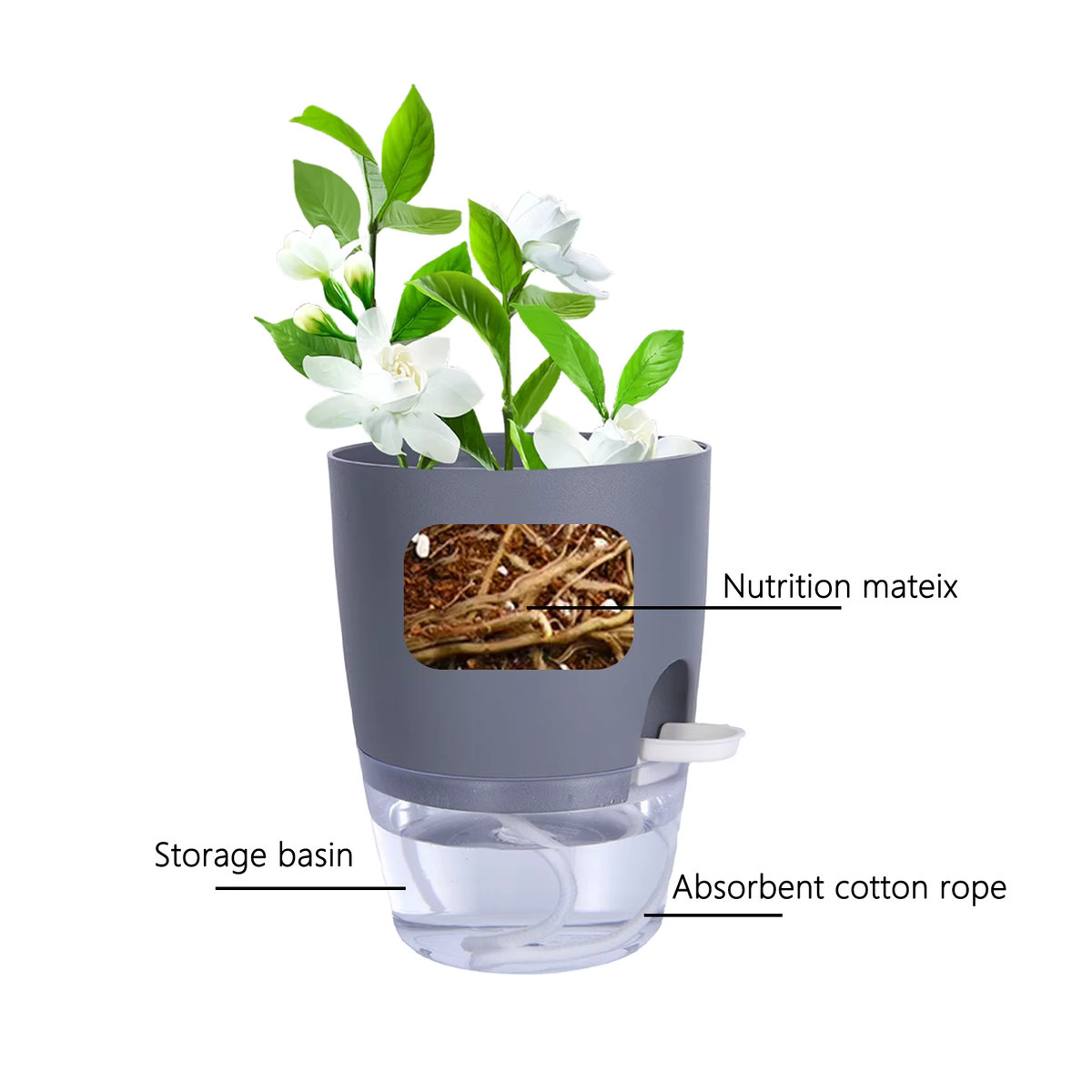 Hydrokultur Topf mit Selbstbewässerung und Baumwollseil für den soilless Anbau B/T/H: 15,3 x 10,5 x 8,2 cm - Bild 2