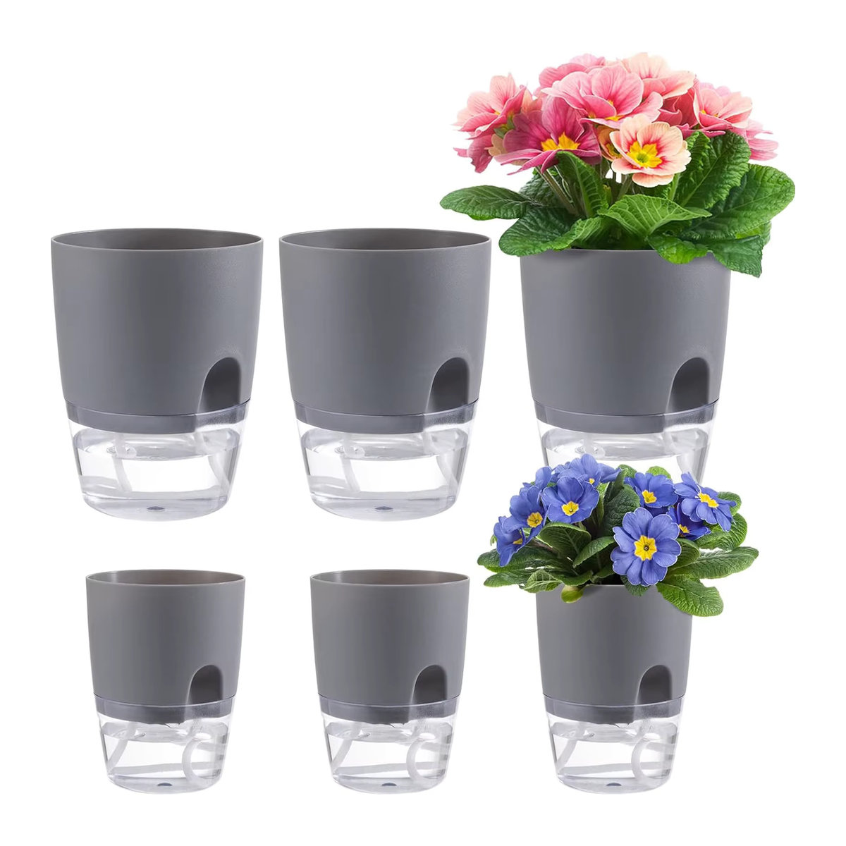 Hydrokultur Topf mit Selbstbewässerung und Baumwollseil für den soilless Anbau B/T/H: 15,3 x 10,5 x 8,2 cm - Bild 6