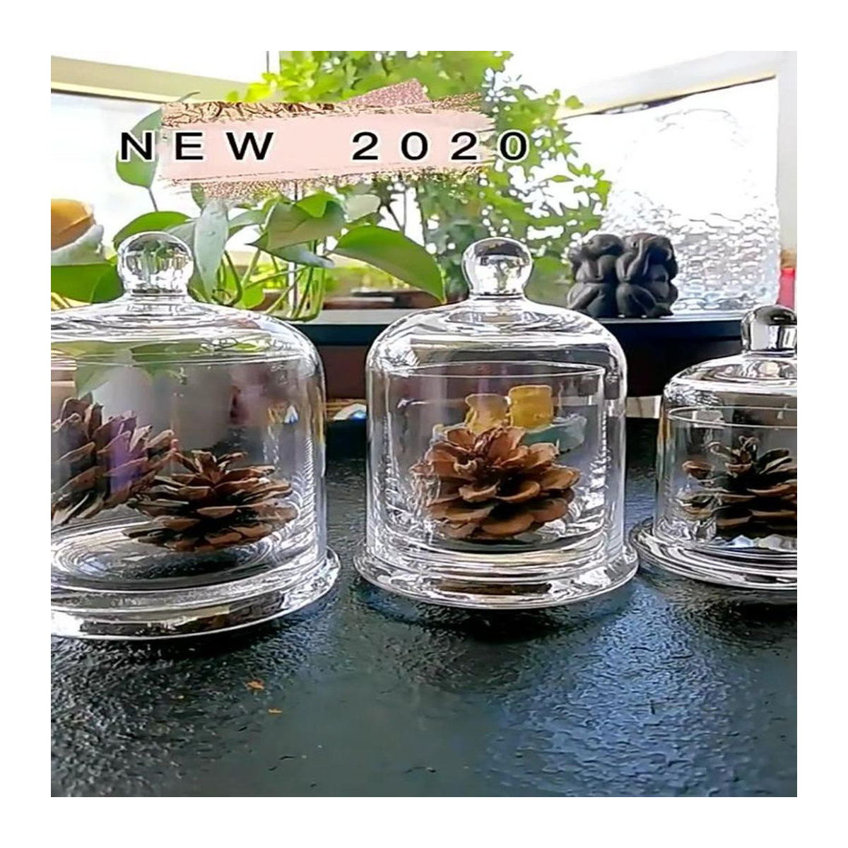 HZxiran Glas Cloche Ewiges Leben Blume Dekoration, Grün und Transparent, Rund und Staubdicht - Bild 1