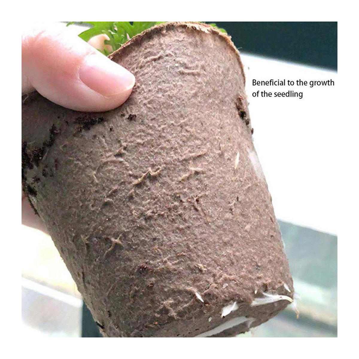 Igeteck 50 Stück runde biologisch abbaubare Anzuchttöpfe aus Papierpulp in Braun, Durchmesser: 6 cm - Bild 6