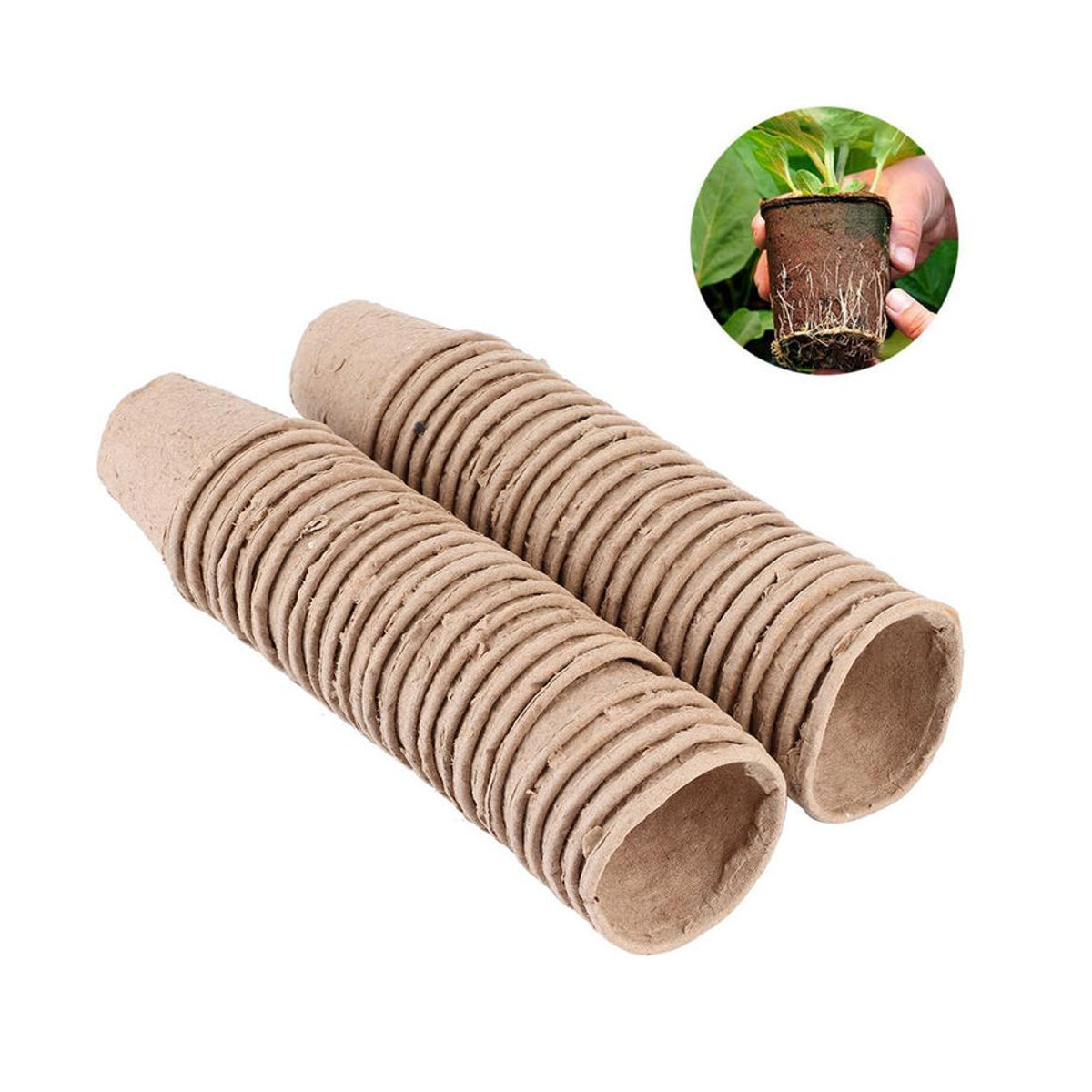 Igeteck 50 Stück runde biologisch abbaubare Anzuchttöpfe aus Papierpulp in Braun, Durchmesser: 6 cm - Bild 7