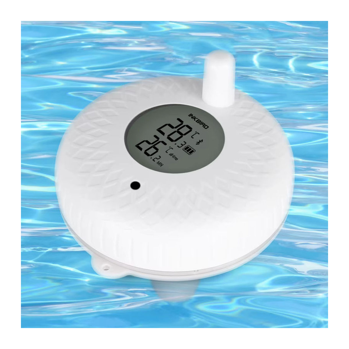 INKBIRD IBS-P01B Digitales Bluetooth Schwimmbad Thermometer, Wasserdicht, Weiß - Bild 3