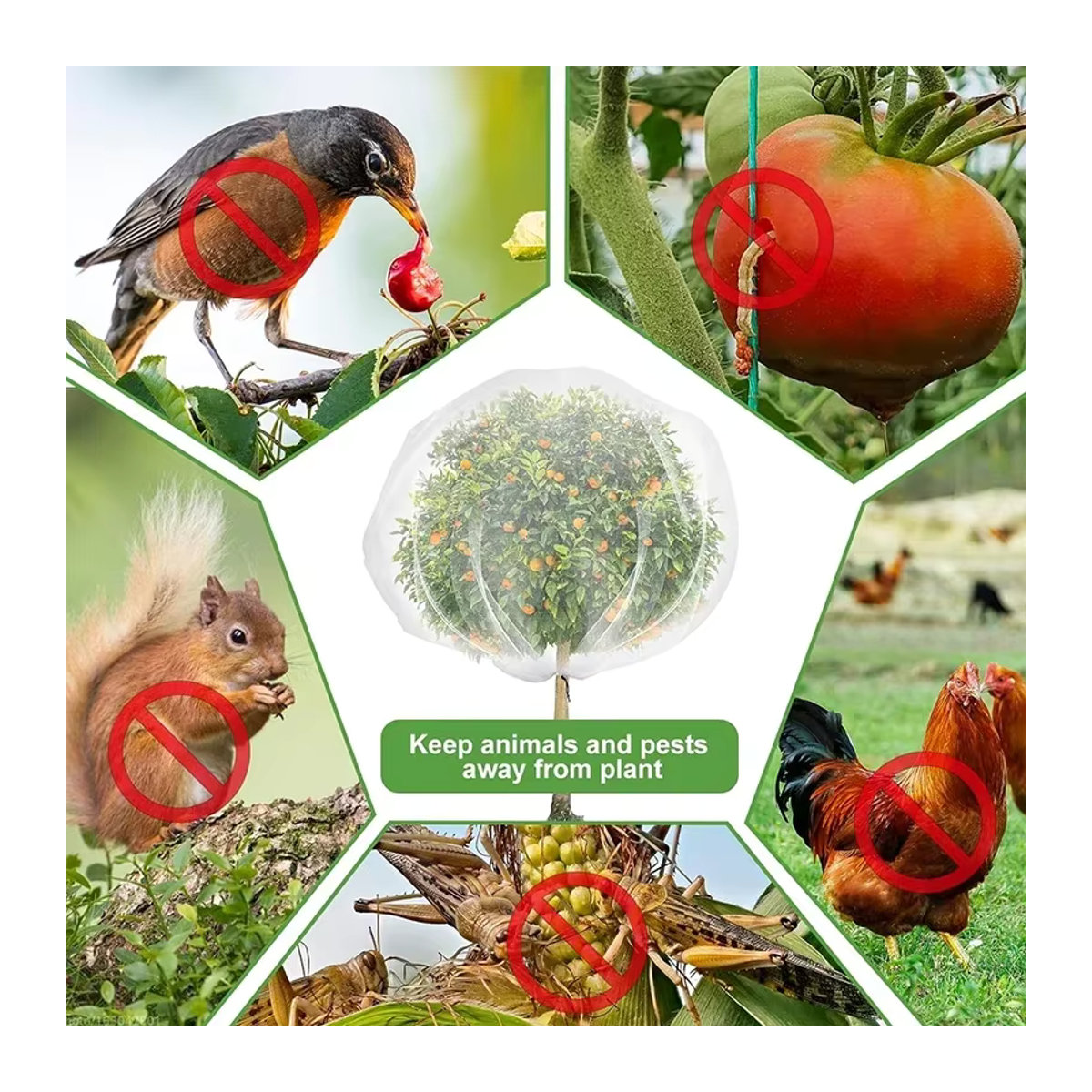 Insektensichere Netztaschen mit Kordelzug als Pflanzenschutz und Vogelbarriere für Blaubeeren - Bild 2