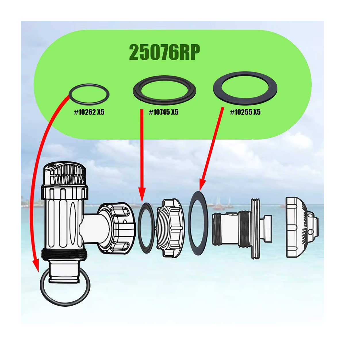 Intex O-Ring Gummidichtung Schwarz für Poolzubehör - Bild 4