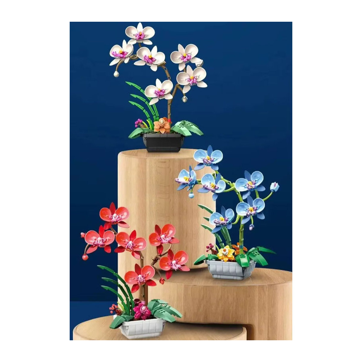 JAKI Phalaenopsis Orchideen Modellbausatz als mehrfarbiges Lernspielzeug und Dekoration aus Kunststoff - Bild 1