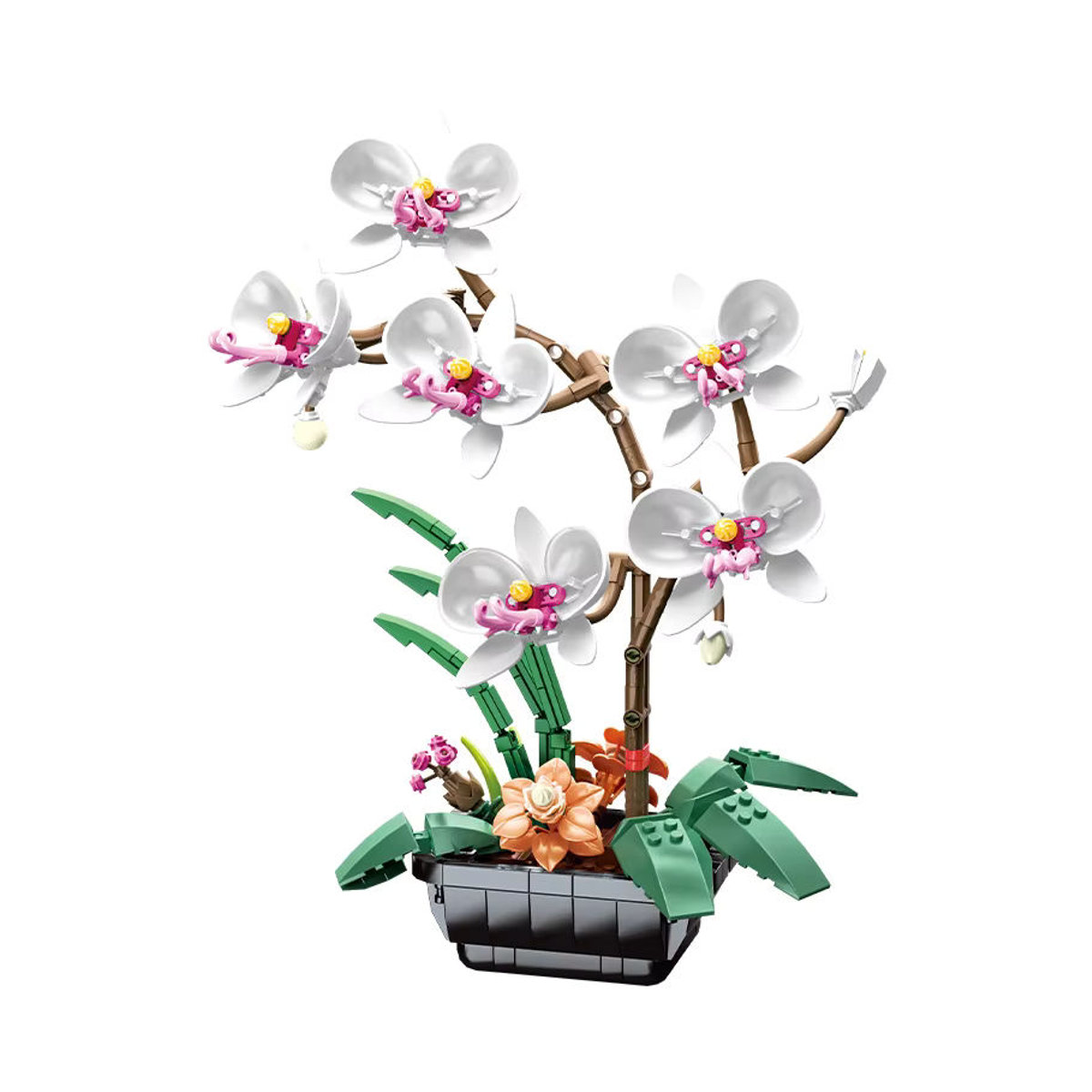 JAKI Phalaenopsis Orchideen Modellbausatz als mehrfarbiges Lernspielzeug und Dekoration aus Kunststoff - Bild 2